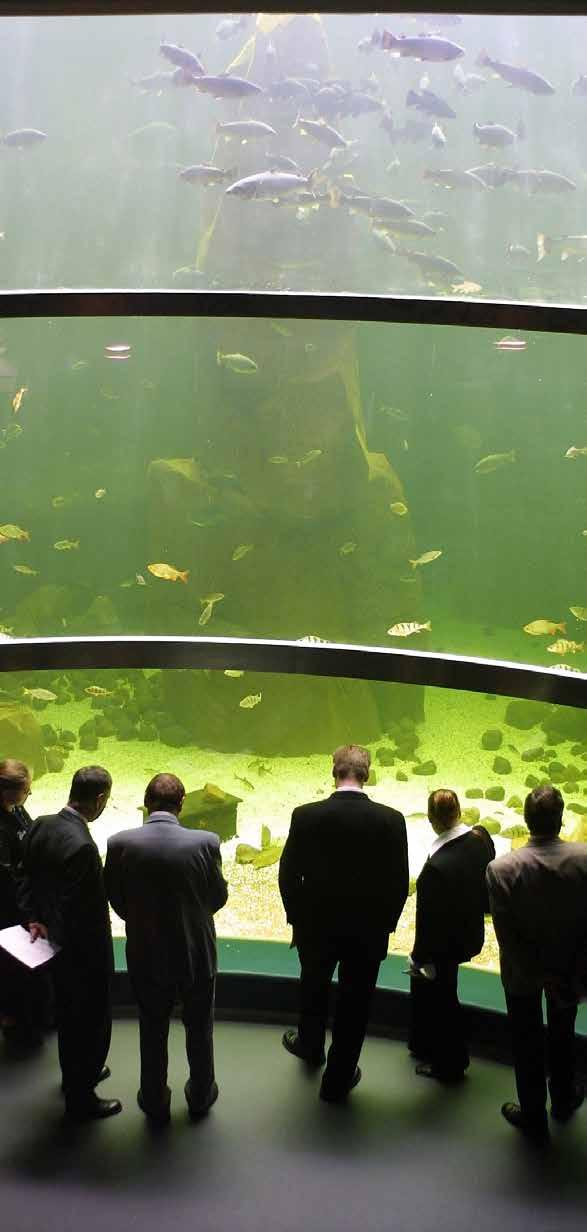 Maretarium Kotka Maretarium suomalaisten kalojen akvaariotalo, jossa voi tehdä kalamatkan Lapin tunturipuroista Suomenlahden merialueelle. Eri kalalajeja on yli 60.