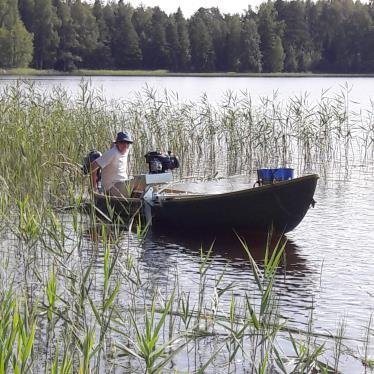 rantaan piti tuoda paljon paitsi järviruokoa, myös
