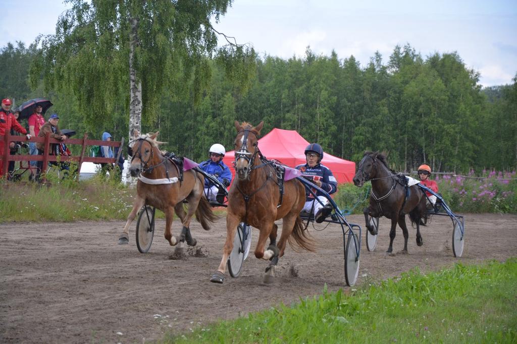 Kilpailuun ilmoittaudutaan kello 17 alkaen kisapaikalla. Osallistumismaksu on 30 e/ venekunta/osakilpailu. Lähtö tapahtuu kello 18 ja uisteluaika päättyy kello 22, jonka jälkeen jännitetään voittajia.