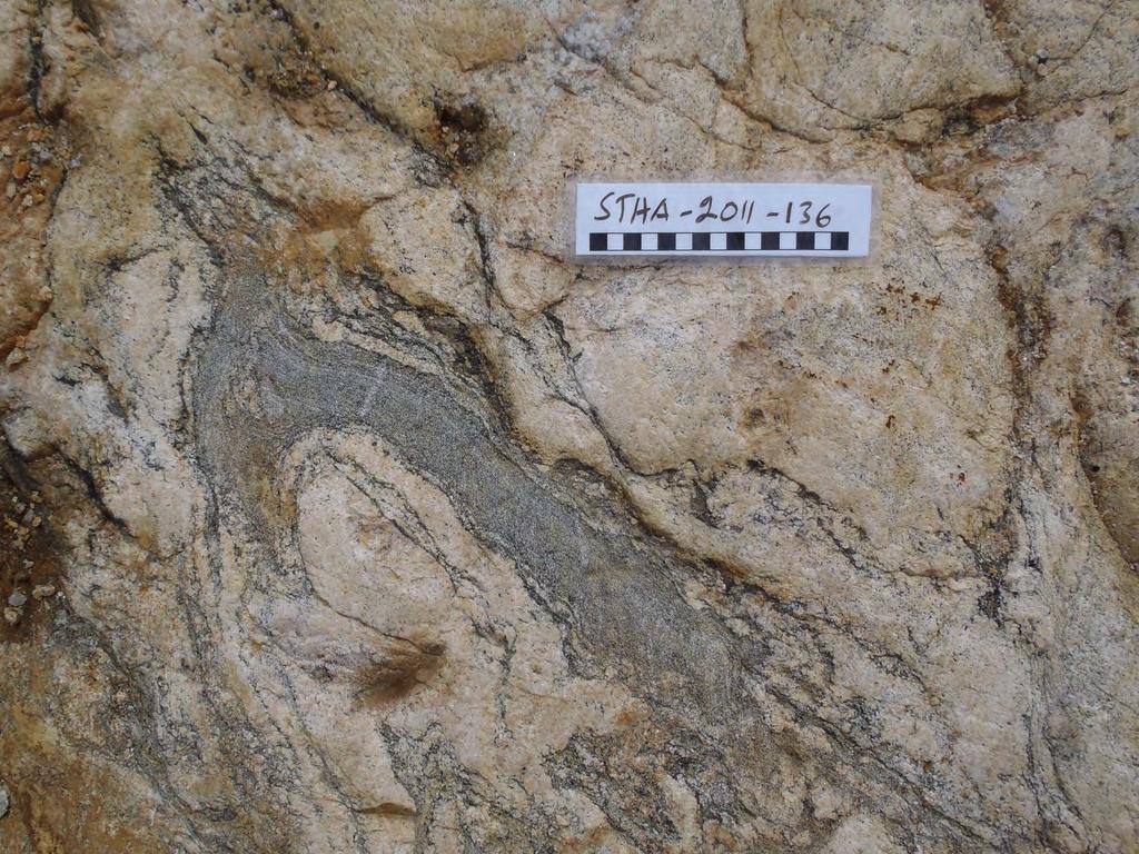Anatektinen graniitti Nuorempaa graniittista ainesta Vanhemman kiven sulkeumia 15 Yleistetty kallioperäkartta 1M -