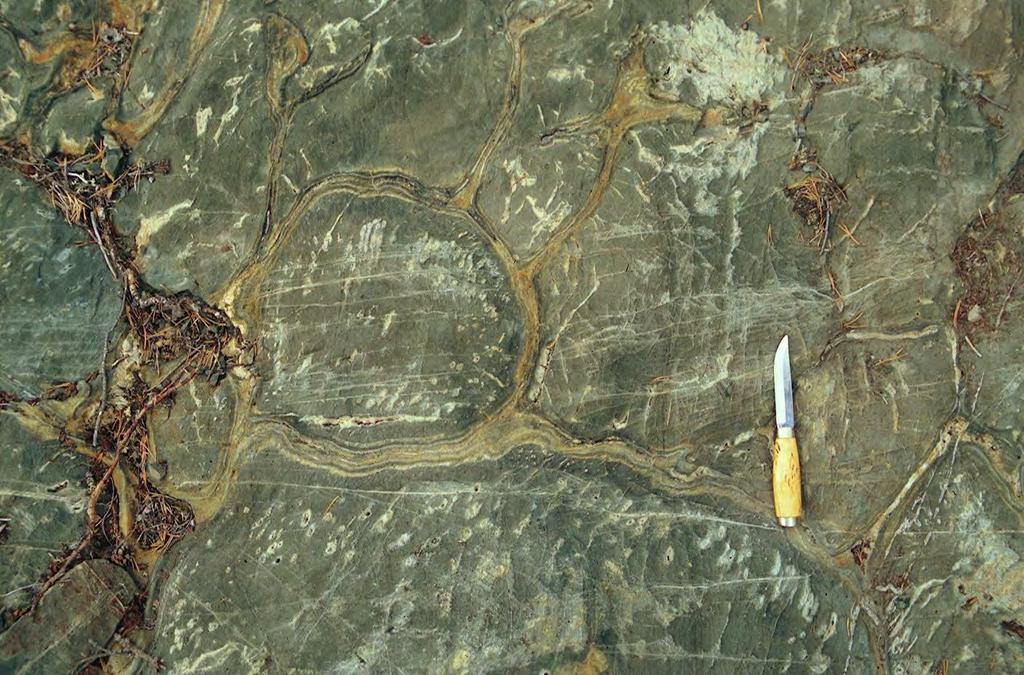 Tyynyjen välissä merivedestä saostuneita kalkkirikkaita saumoja Kuva tyynylaavasta Kaasurakkuloita 9 Yleistetty kallioperäkartta 1M - oheismateriaali - GTK 2016 -