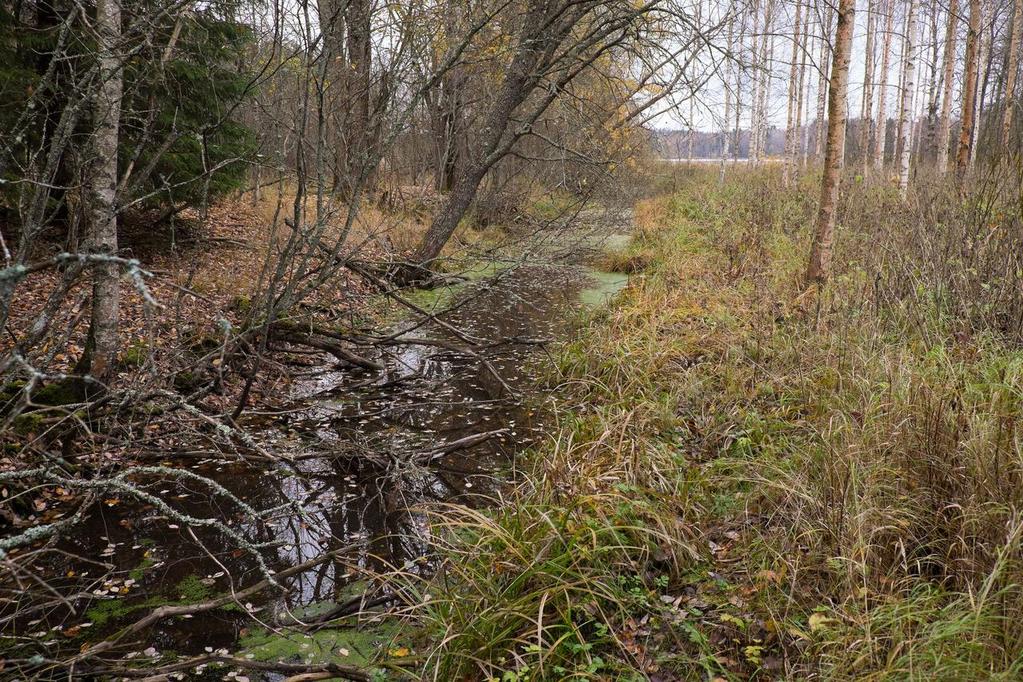 Nuuta-, Ruta- ja Kortejärven