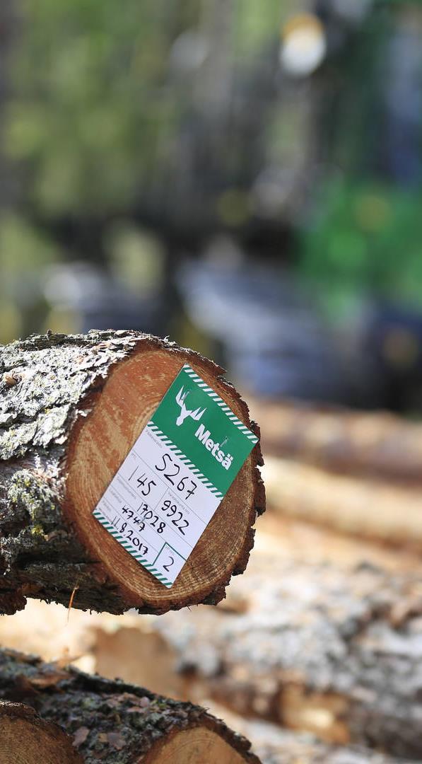 Metsä Groupin biotuotetehdas Puunhankinta Esimerkkinä Äänekosken biotuotetehdas Häiriötön puuhuolto on erittäin tärkeää. Biotuotetehdas käyttää puuta 6,5 milj.