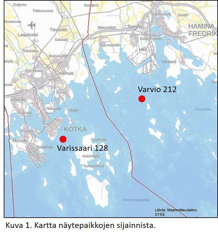 LIITE 4 1. Johdanto Kasviplankton on tärkeä biologinen muuttuja, jota käytetään vesimuodostumien ekologisen tilan arvioinnissa.