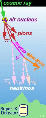 Atmospheric Neutrino Oscillation (Super-Kamiokande) Located in Mozumi mines in Japan Measure muon neutrino disappearance as a function of L/E and constrain the mixing angle.