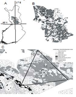 Tutkimustulokset: Latvuspeitto ja suoja maanpinnan läheisyydessä %-osuuksien ero, metso/verrokki 4 3 2 1 0-1 -2-3 -4 Kangasmetsät 0.0 2.0 SDI %-osuuksien ero metso/verrokki 4.5 6.5 8.5 10.5 12.5 14.