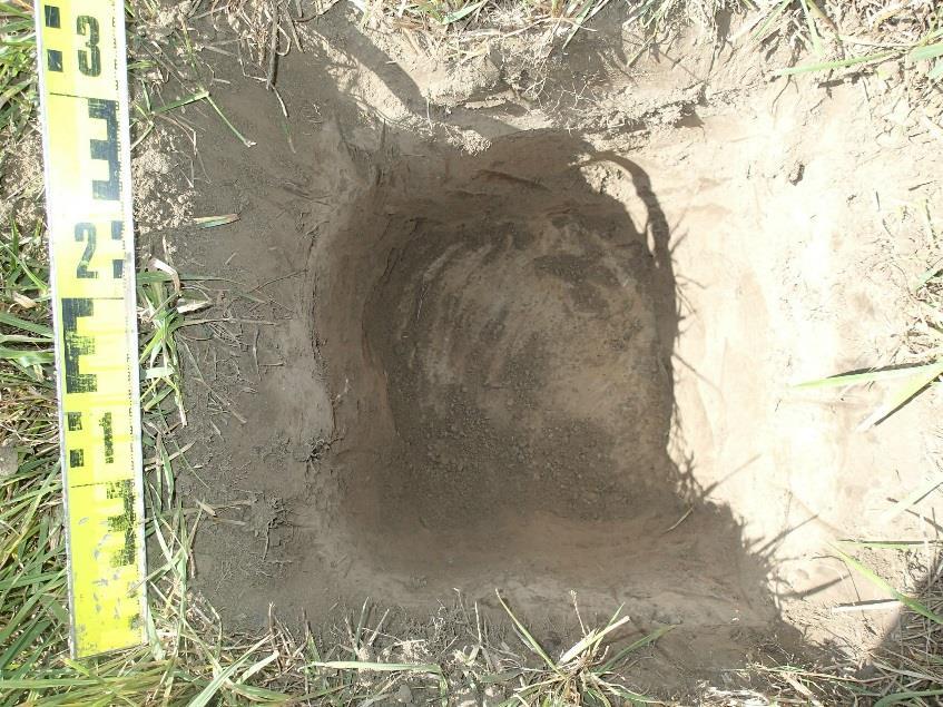 Syvyydellä 30-50 cm esiintyi yksi rapautunut kivi, jonka yhteydestä ei tavattu nokea tai muita palamisen jälkiä. Koekuoppaa kaivettiin lapiolla 50 cm syvyydelle asti.