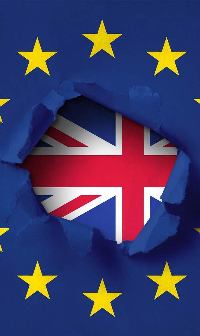 Brexit missä mennään? Britannia jättää EU:n 29.3.2019 Erosopimusneuvottelut käynnissä Siirtymäaika v.