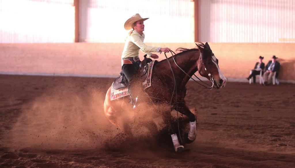 2.4. Kansainvälisyys Ratsastajainliitto on Kansainvälisen Ratsastajainliiton, Fédération Equestre Internationale (FEI) ja Euroopan ratsastajainliiton, European Equestrian Federation (EEF) jäsen.