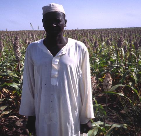 Perinteistä ja nykyaikaista maataloutta. Sudan, E-Darfur. Kuvat: O. Luukkanen, XI/2000.