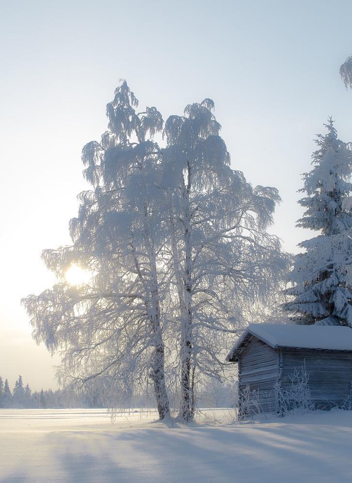 SAARIJÄRVEN KAUKOLÄMPÖ
