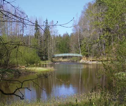 Tornimäentie 20 )