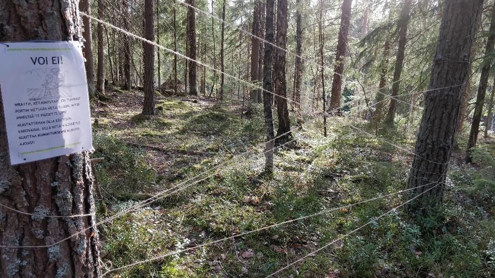 28 7.1 Salasana hukassa Ensimmäisellä seikkailukerralla lähdimme lasten kanssa selvittämään salasanaa.