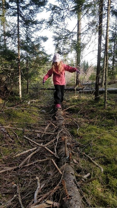 31 cm korkeudella maasta, ylempi köysi lasten rinnan korkeudella.