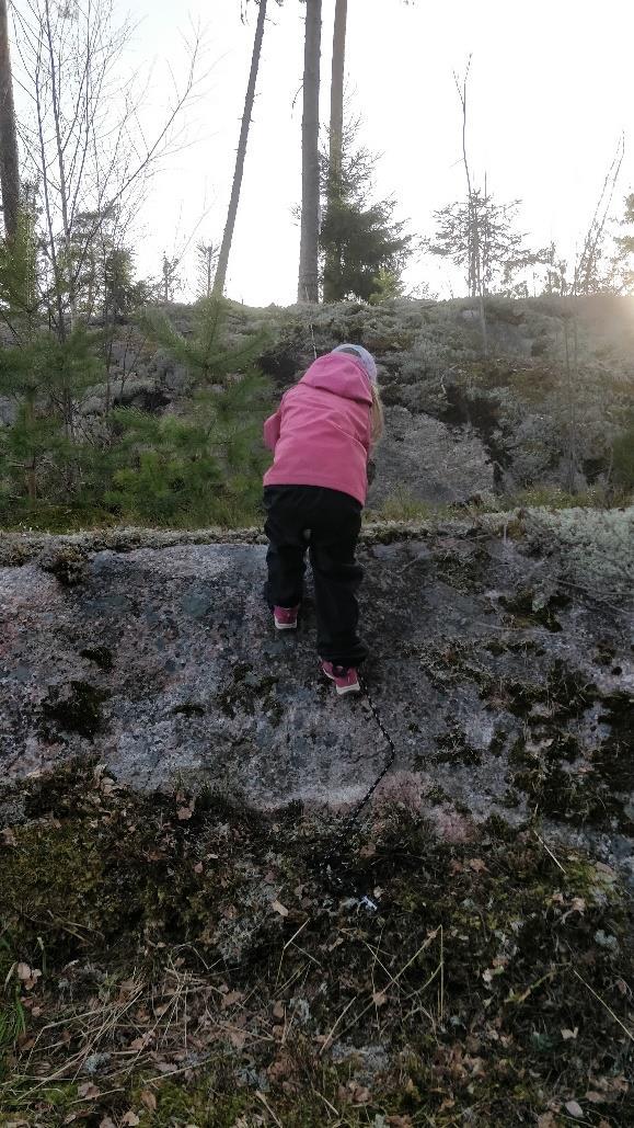 32 Kuva 4 Sitten vuoren huipulle! Vihdoinkin kultainen vuori häämötti. Vielä oli tehtävänä kiivetä vuoren huipulle selvittämään viimeinen vihje salasanaa varten. Vuorossa oli vuorikiipeilyä.