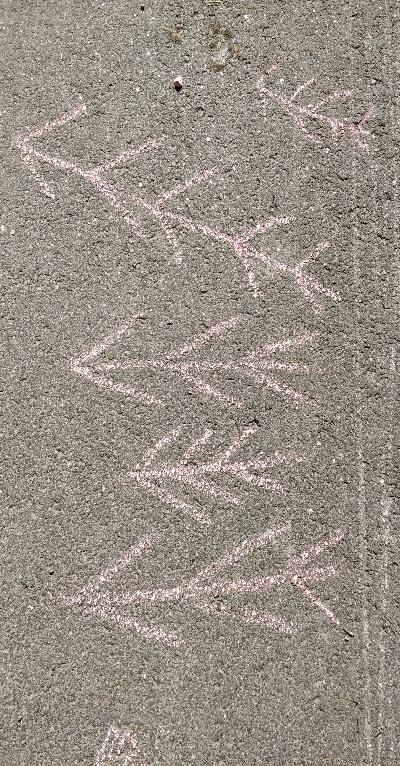 46 äidille geokätköstä ja kuinka kauan kätkö olisi piilossa ja etsittävissä. Geokätköön olin tulostanut pienen äitienpäivärunon jokaiselle äidille.