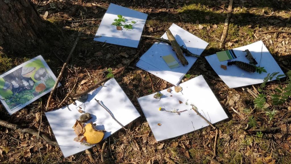 49 Ensimmäisenä metsään tultaessa oli puun kosketus -rasti. Paikalla oli myös luuppeja ja suurennuslaseja.
