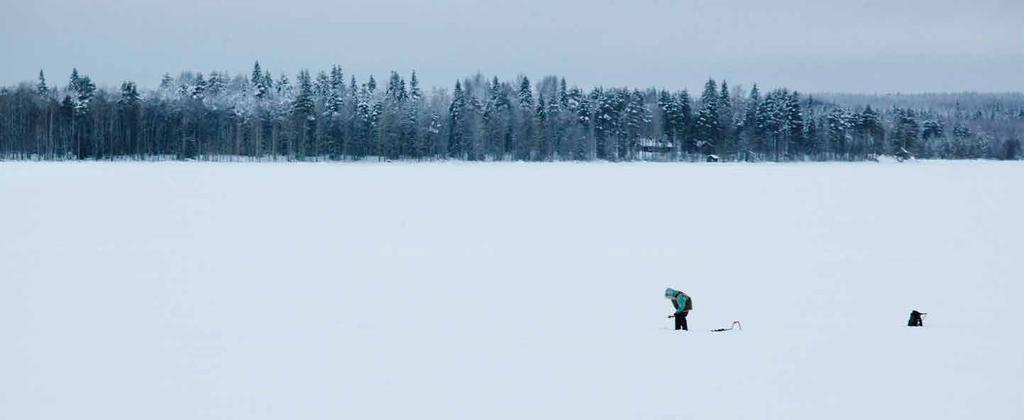 ILOMANTSI ON... Ilomantsi on mielentila. Ilomantsi on konstruktio, rakennettu ilmiö, jolle ei voi antaa rajoja.