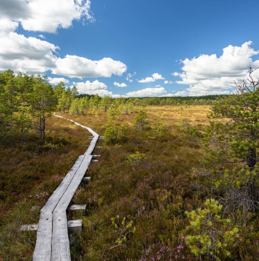 YMPÄRIVUOTISUUS Ympärivuotisuus luo hyvinvointia ja parantaa toimialan kannattavuutta.