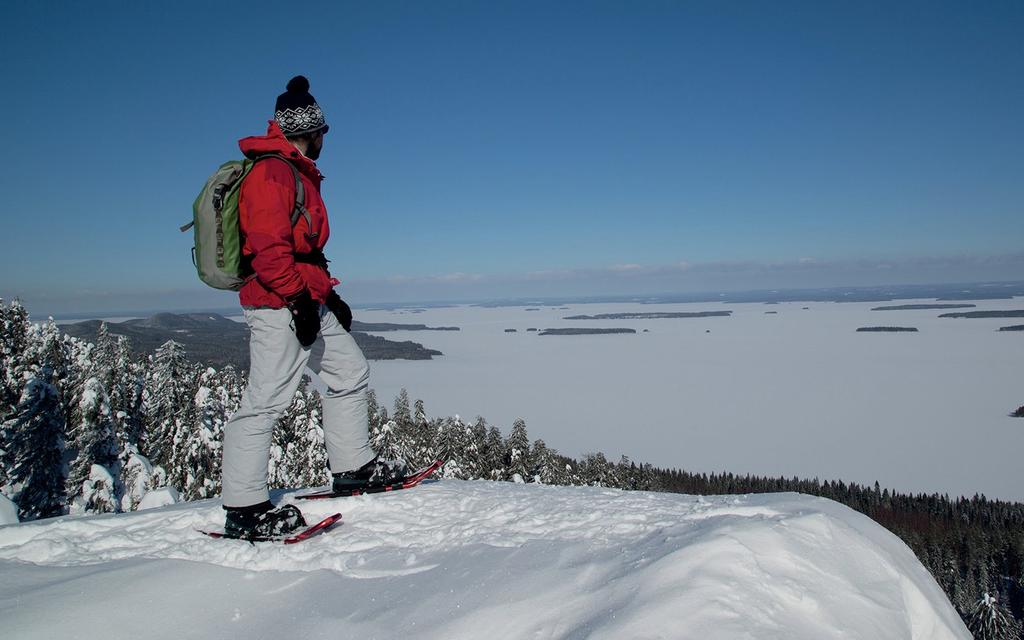 KOLI, LIEKSA Savonlinnan ja sitä ympäröivän järvialueen kansallinen ja kansainvälinen profiili ja tunnettuus nousevat Saimaa- ja Lakeland-teemat selkiytyvät ja yhteismarkkinointi paranee