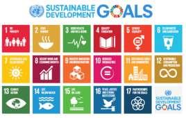 Aalto SDG verkosto ja sustainability-raportointi Aalto Sustainability Hub, Tutkimus- ja