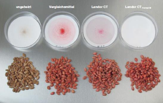 EU Seed treatment quidance document Raja-arvot peitatusta siemenestä irtoavalle