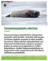 Äänestysvaihtoehto 3