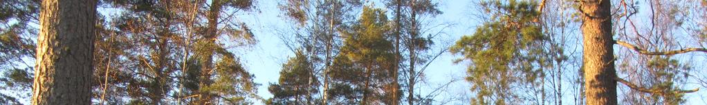 saunarakennus, talousrakennus