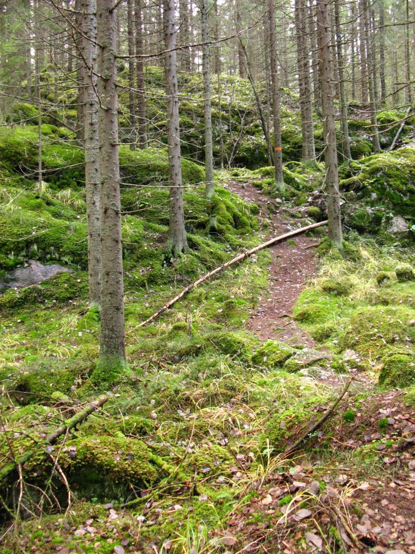 Isään suhtautuminen palveluissa palvelupolun kohtaamispisteet isyyden tukemisen näkökulmasta Mikä on asiakkaan konkreettinen ongelma, johon hän lähtee hakemaan apua?