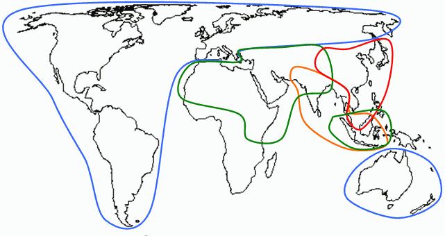 Itä-Aasian sanoja Pandunia Länsi Lähi-Itä ja Afrikka Etelä-Aasia Itä-Aasia ca (tee) venäjä: /čai/ portugali: chá (englanti: chai) swahili: chai turkki: çay arabia: /šāy/ hindi: /cāy/ thai: /chaa/