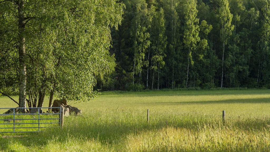 Tässä artikkelissa esitetyt mielipiteet ovat kirjoittajien omia eivätkä välttämättä edusta Suomen Pankin näkemystä.