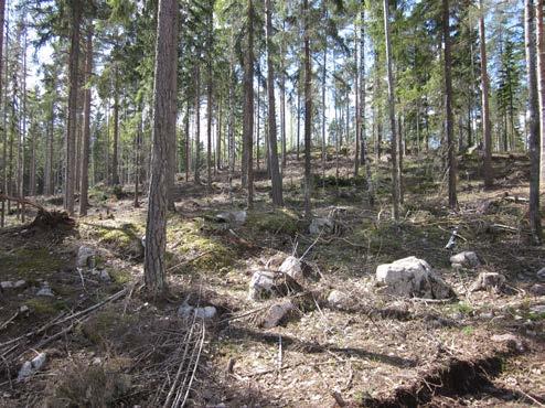 Kvss osoitetn evyen liienteen reitit Niilän esustn päin j Norrsogenin uloilulueelle päin. Asemvss on osoitettu mhdollisuus liulun rentmiselle Pippistentien li.. Suunnittelun lähtöohdt.