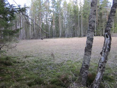 Alue on pääosin yhtä suiniinteistöä j pienehöjä viherlueit luuun ottmtt rentmtont metsä- j peltoluett. Alueen hli ulee Pippistentie.