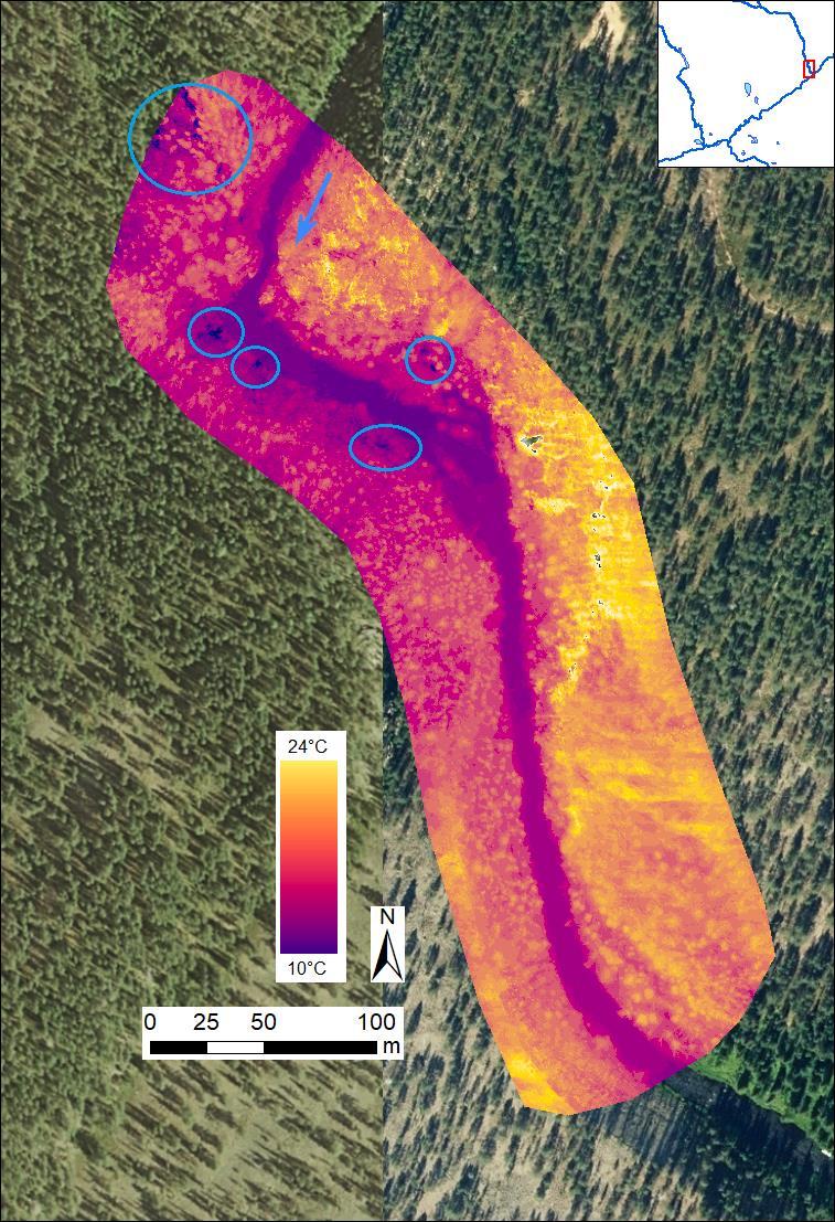 30 Figure 10. River Kuerjoki (Kuer 2) UAV TIR image dataset with discovered GW discharge sites marked with blue circles.
