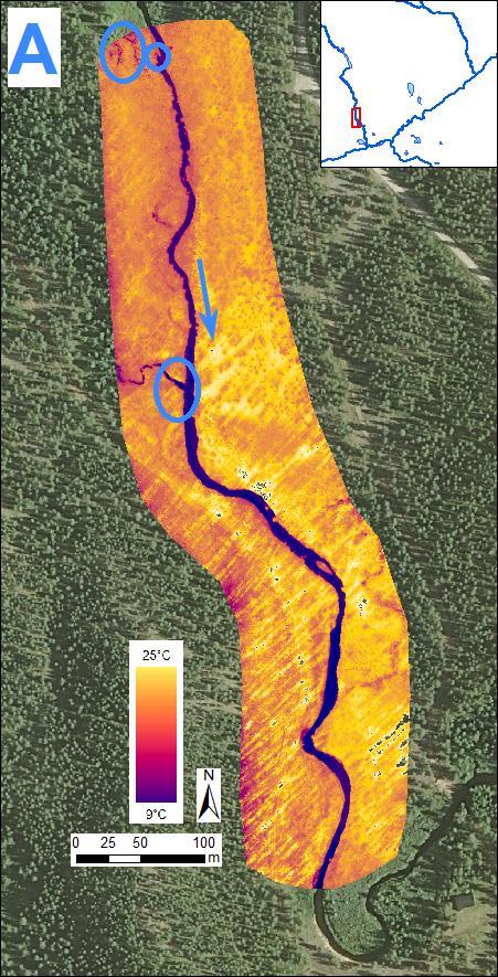 Background ortho imagery from National Land survey of Finland (2010