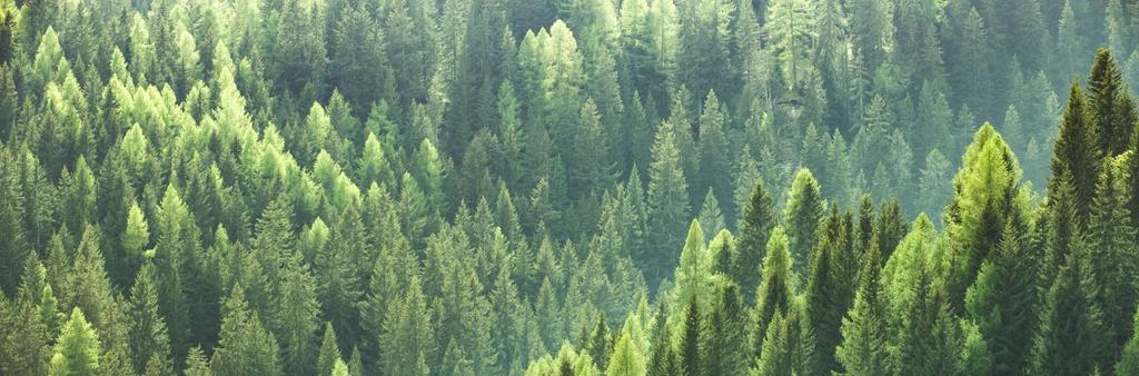 Vihreän rahoituksen periaatteet Vihreä viitekehys perustuu ICMA:n Green