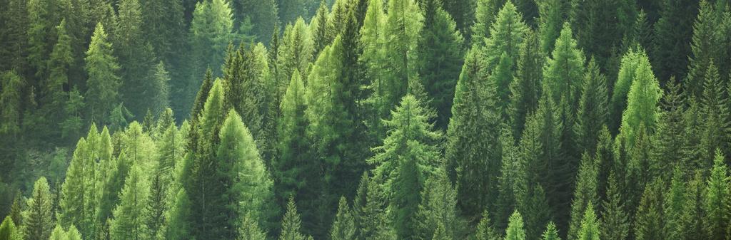 Environment Instituten ja CICERO:n arvioon Vihreän rahoituksen