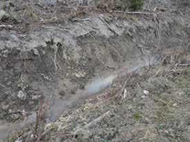 Pohjavettä virtaa noin 60 cm syvyiseen kuoppaan lohkon matalasta, perkaamattomasta niskaojasta tasaisella hiesusavimaalla (kuva alhaalla vasemmalla).