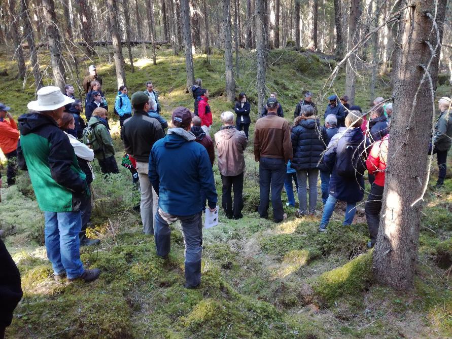 Mikä on FSC Suomen rooli? Vastuullisen metsänhoidon yhdistys FSC Suomi on voittoa tavoittelematon organisaatio. Se vastaa mm.