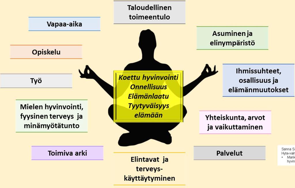 Ihmisen näkökulmasta: Hyvinvointi on koko elämä ja arjen mukavaa sujumista eniten hyvinvointiin vaikuttavat ihan muut asiat kuin palvelut Sanna Salmela ym.