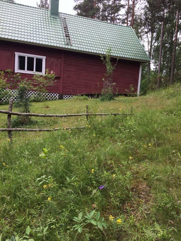 Ruokamatkailu Ruokamatkailu on kansainvälinen kasvava trendi Ruoka on yksi osa matkailun