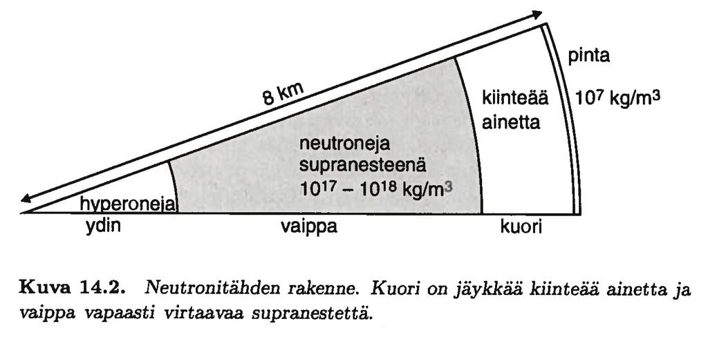 15. Kompaktit tähdet Ei fuusiota kaasun paine ei pysty kumoamaan painovoimaa valkeat kääpiöt - degeneroituneen elektronikaasun paine neutronitähdet - degeneroituneen neutronikaasun paine mustat aukot