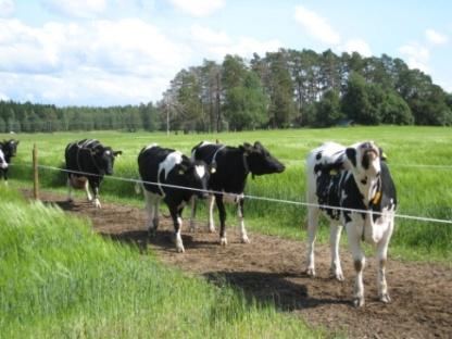 Biokaasuteknologia Eloperäisen materiaalin