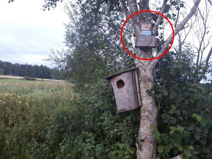 22 120 100 80 60 40 20 0 Pohjanlepakko Siippalaji Kuva 16.