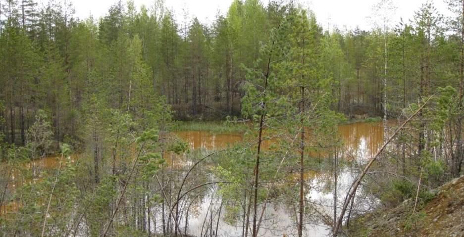 141 Kuva 8.2.5 Soranottoalue SOKKA14 Riipan pohjavesialueella on lammikoitunut. Vesi on hyvin sameaa ja alueen kunnostustarve on suuri. Kuva Elina Lindsberg 26.5.2015.
