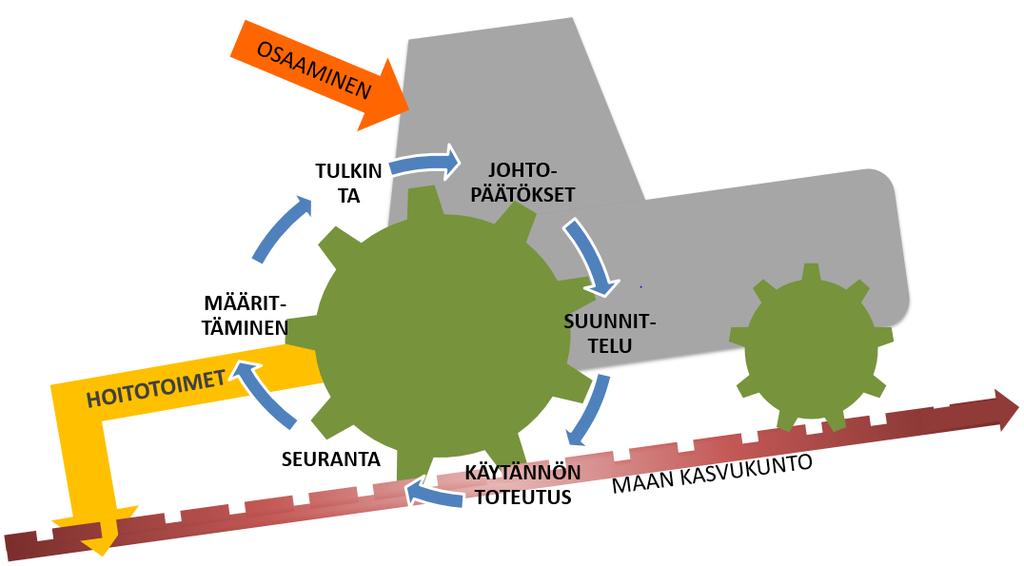 Kasvukunnon hoitosuunnitelma 1. Kasvukunnon puutteiden selvittäminen monipuolisesti 2. Tulosten tulkinta ja johtopäätelmät 3.