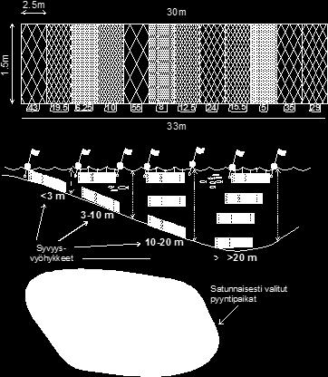 Verkkokoekalastus