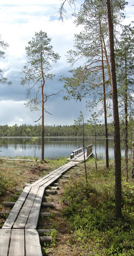 Tutkimusnäyttöä luonnon terveysvaikutuksista luonnon terveysvaikutuksia tutkittu Suomessa noin 15 vuotta luonnossa liikkumisen ja oleskelun hyödyllisistä psykologisista ja fysiologisista