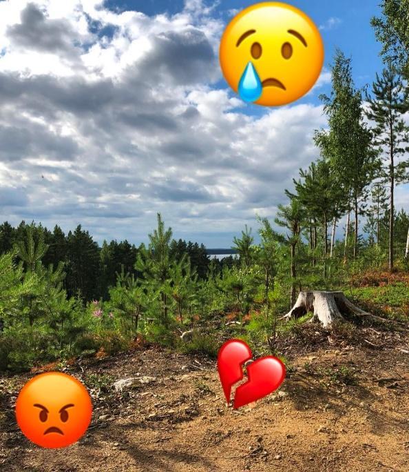 13. Aurinko itkee Jaana Jokinen lähetti oheisen kuvan ja siihen liittyvän tekstin koskien 6-7-7-2018 välisenä aikana tapahtunutta tahallista vahingontekoa