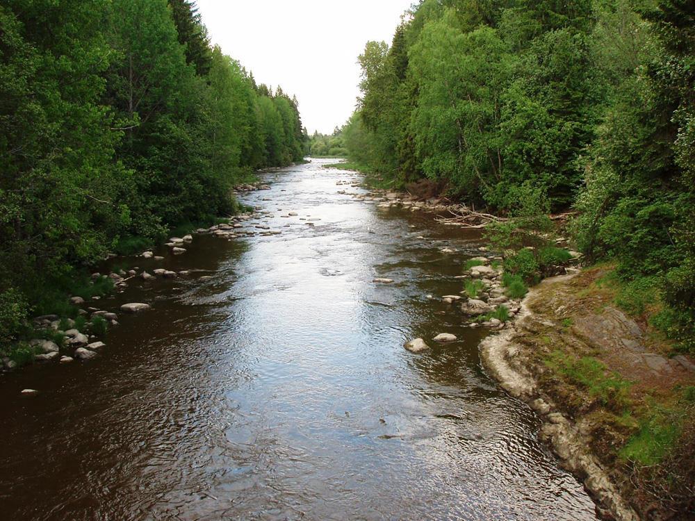 Vantaanjoen Pitkäkoski tärkeä ulkoilu- ja virkistyskalastusalue Pitkäkoski